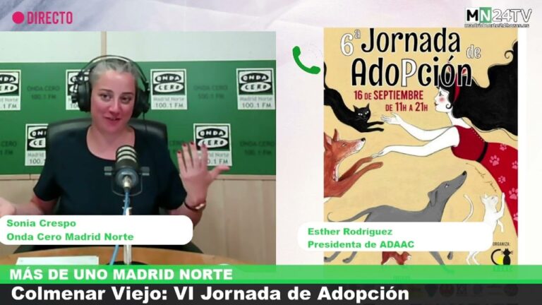 Asociaciones de Protecci&oacute;n Animal en Onda: Gu&iacute;a Completa