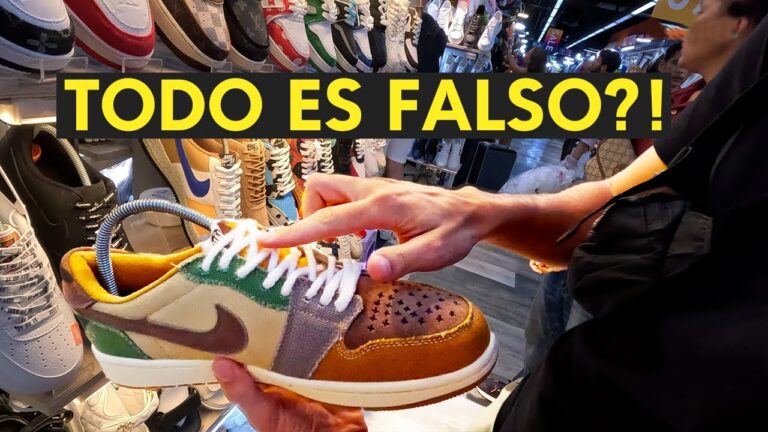 Guía de Compra: Productos para Mascotas en Villarreal