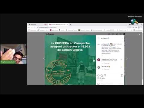 Guía para Solicitar la Devolución de Multas en Villarreal