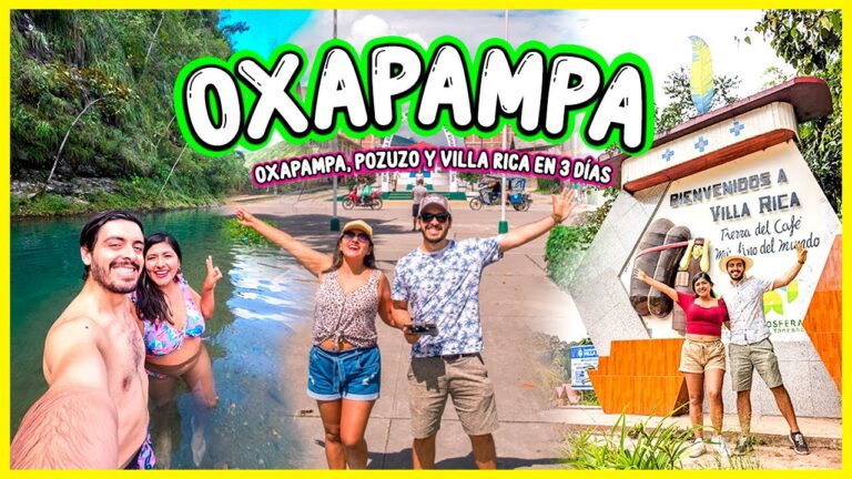 Zonas con Mayor Oferta de Ocio en La Llosa