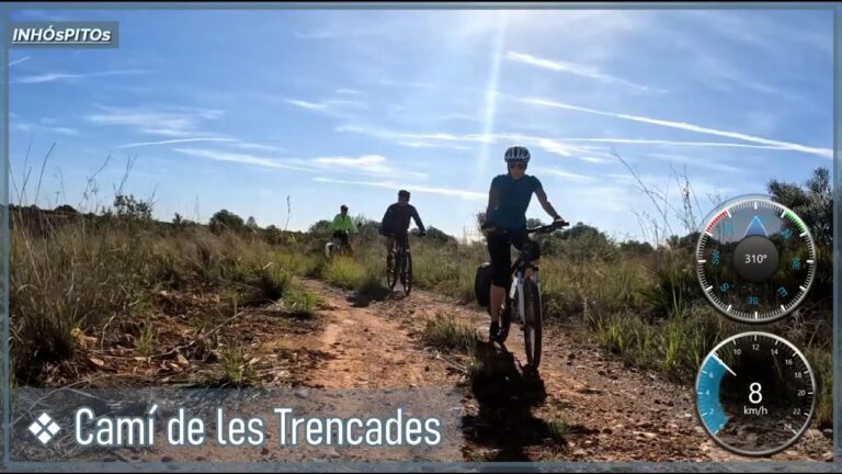 Rutas de Bicicleta en Villarreal: Opciones y Recomendaciones