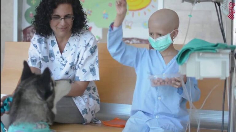 Hospitales en Nules: Guía Completa y Actualizada