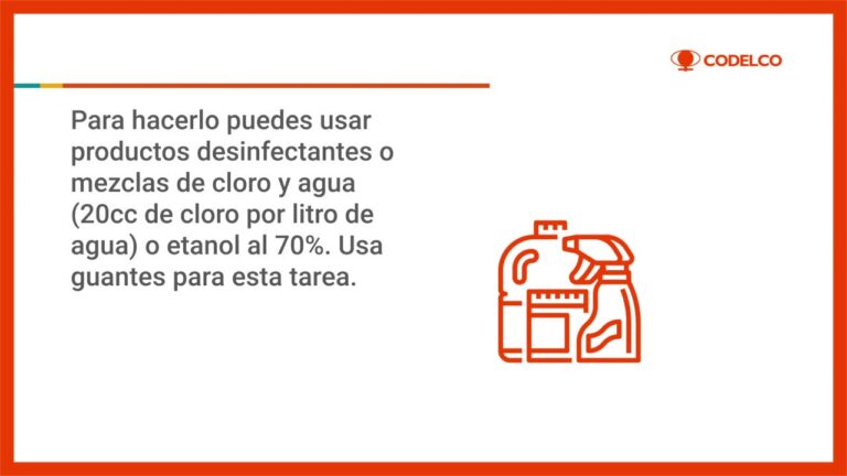 Guía de Compra de Productos para Mascotas en Burriana