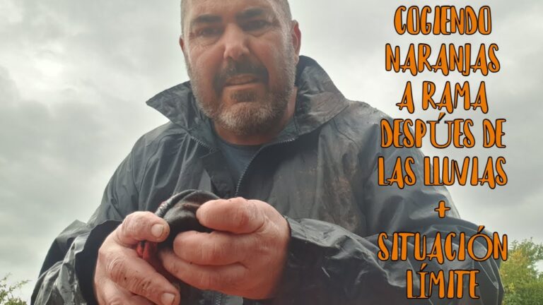 Actividades en Nules para días de lluvia