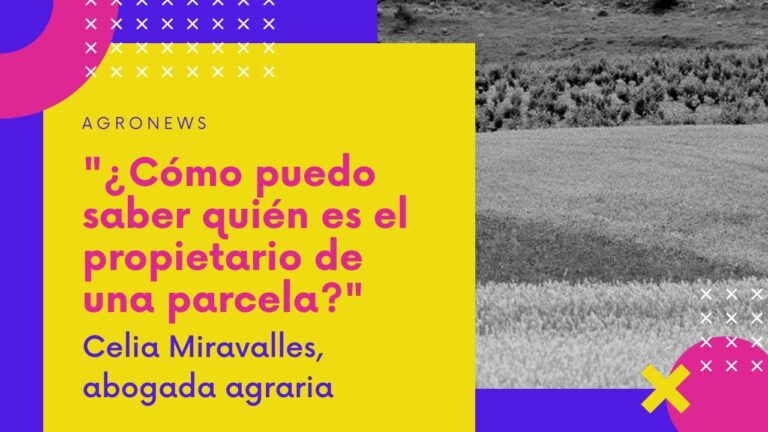 Guía para Registrar una Propiedad en Moncofa