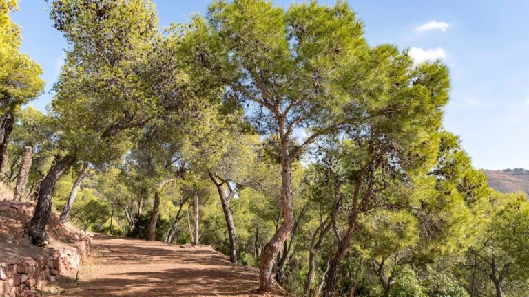 Rutas de Senderismo Urbano en La Vall d’Uixó