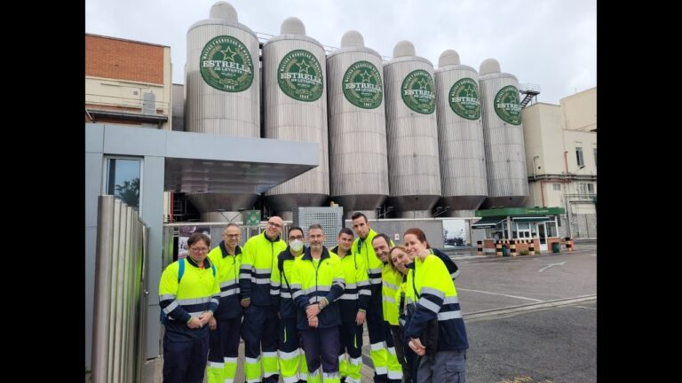 Centros de Reciclaje en Betxí: Guía Completa