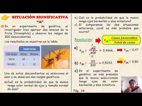 Opciones de Transporte para Turistas en Villarreal