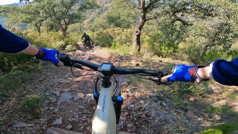 Mejores Rutas para Correr en La Vall d’Uixó